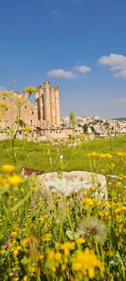 Cardostudio Hotell Jarash Eksteriør bilde