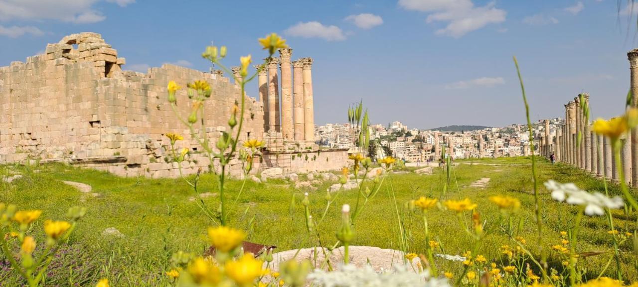 Cardostudio Hotell Jarash Eksteriør bilde