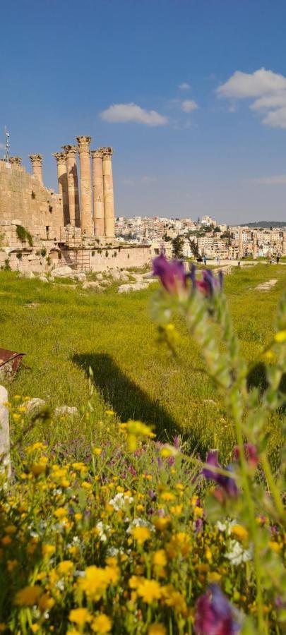 Cardostudio Hotell Jarash Eksteriør bilde